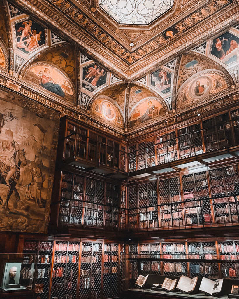 Una splendida libreria Albero ❤️ - La Biblioteca Nascosta in 2023